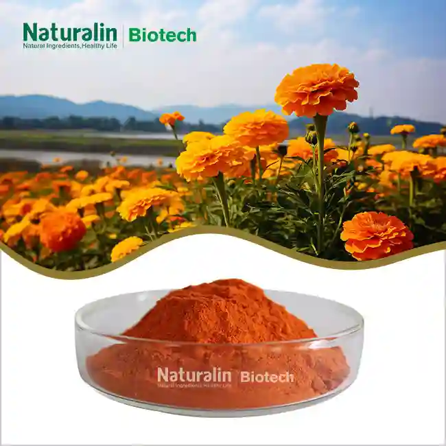 Marigold Extract Powder